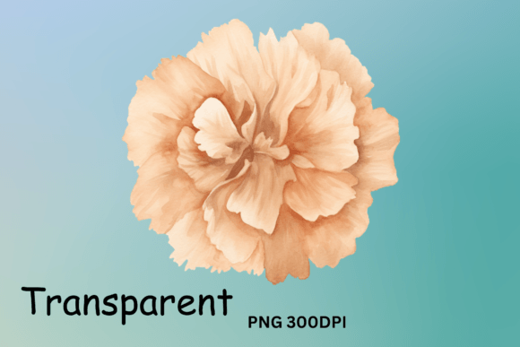 Carnation Flowers Clipart Sublimation for Crafts and Digital Publishing