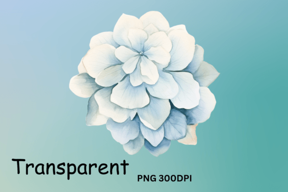 Hydrangea Flower Clipart for Crafts