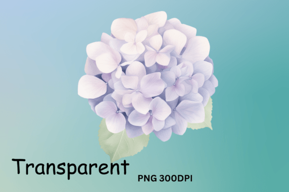Hydrangea Flowers Clipart for Crafts