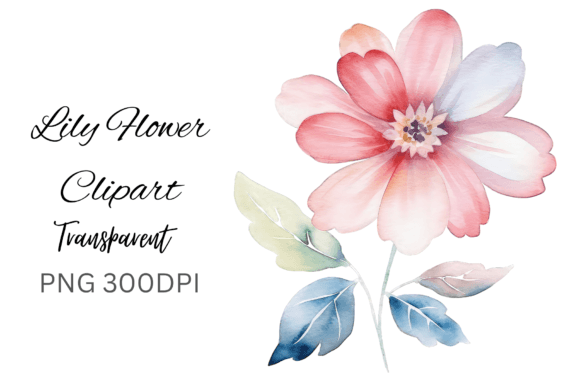 Lily Flower Clipart for Crafts and Branding