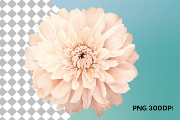Marigold Flower Clipart for Crafts and Branding