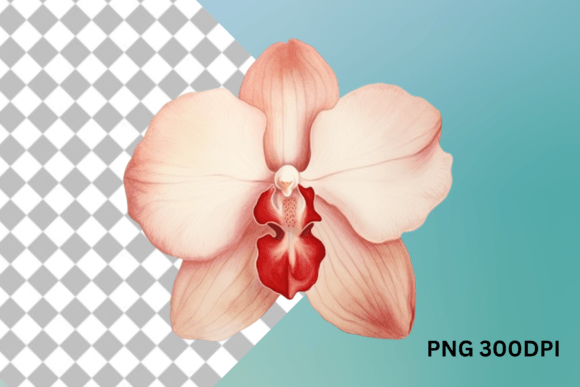 Orchid Flower Clipart: Elevating Crafts and Brand Identity