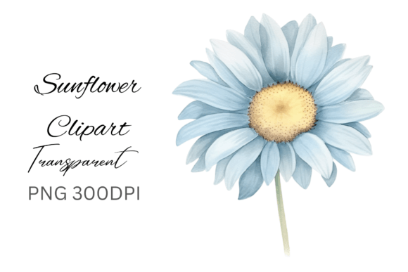Sunflower PNG Clipart Sublimation for Crafts